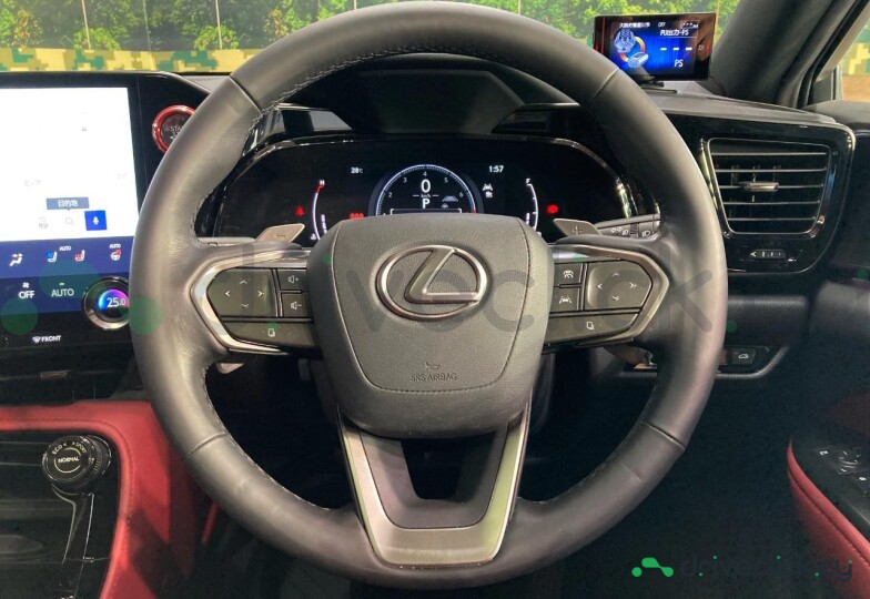 Lexus NX White