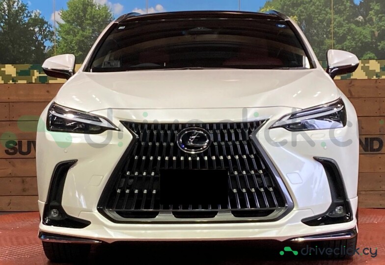 Lexus NX White