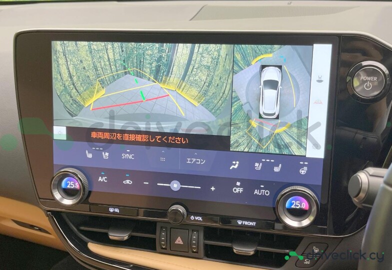 Lexus NX White