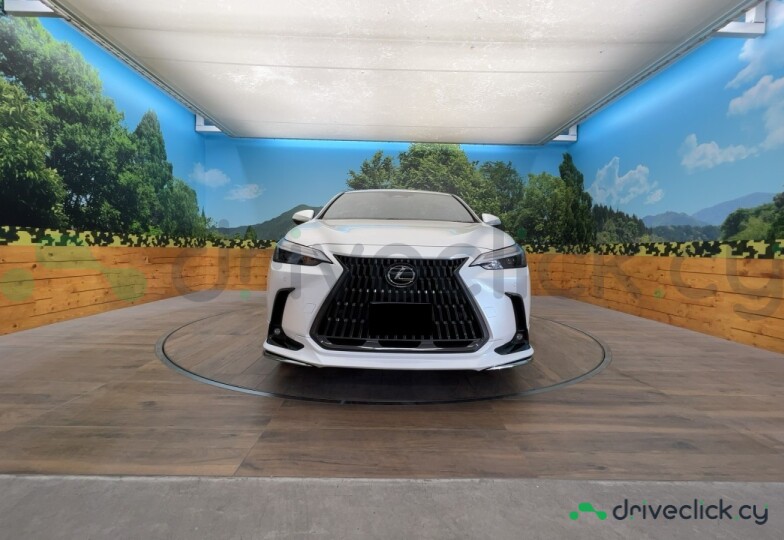 Lexus NX White