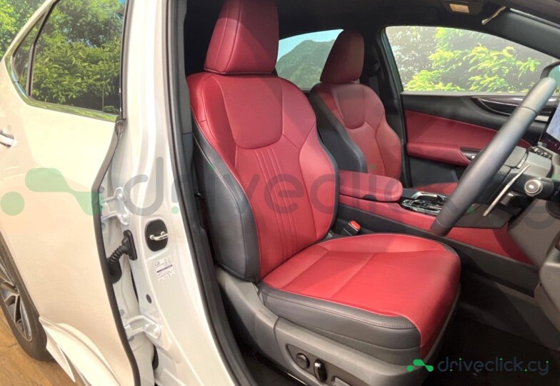 Lexus NX White