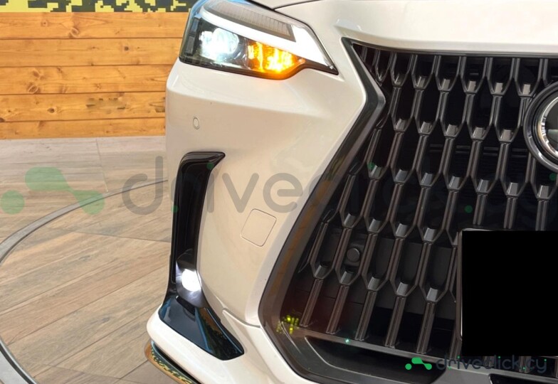 Lexus NX White