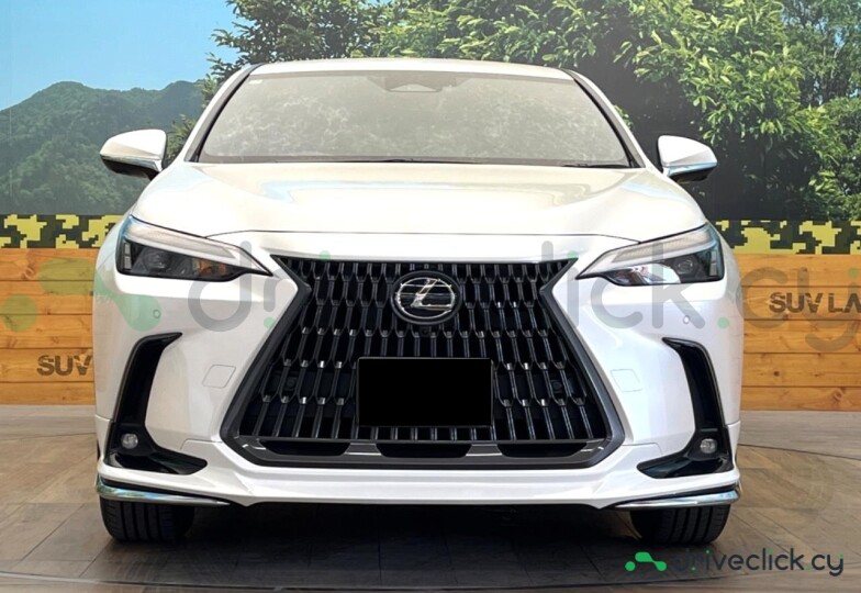 Lexus NX White