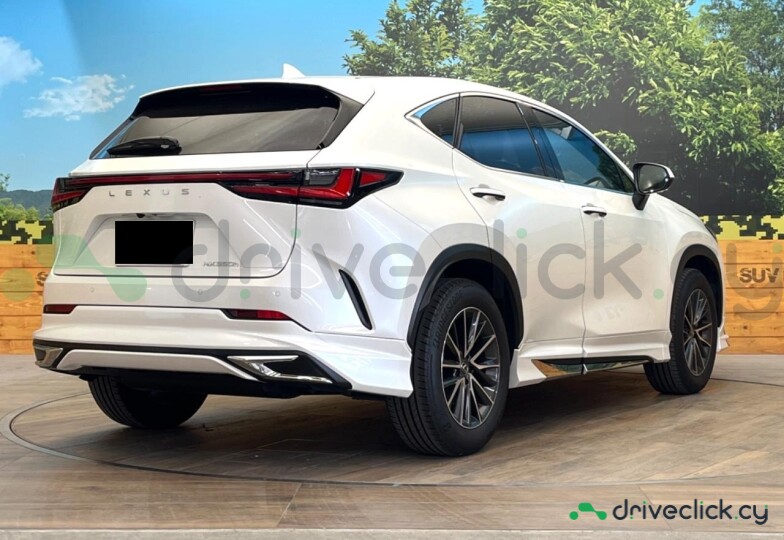 Lexus NX White