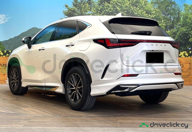 Lexus NX White