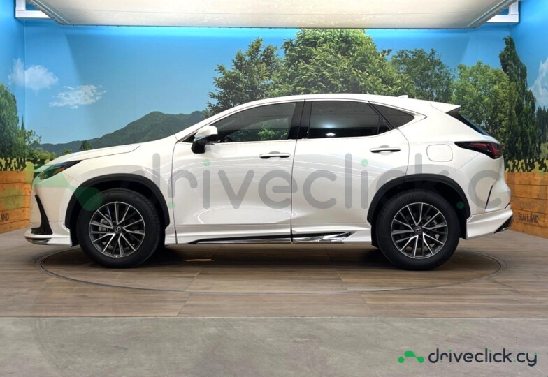 Lexus NX White