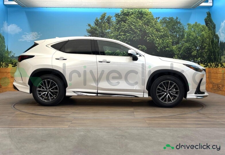 Lexus NX White
