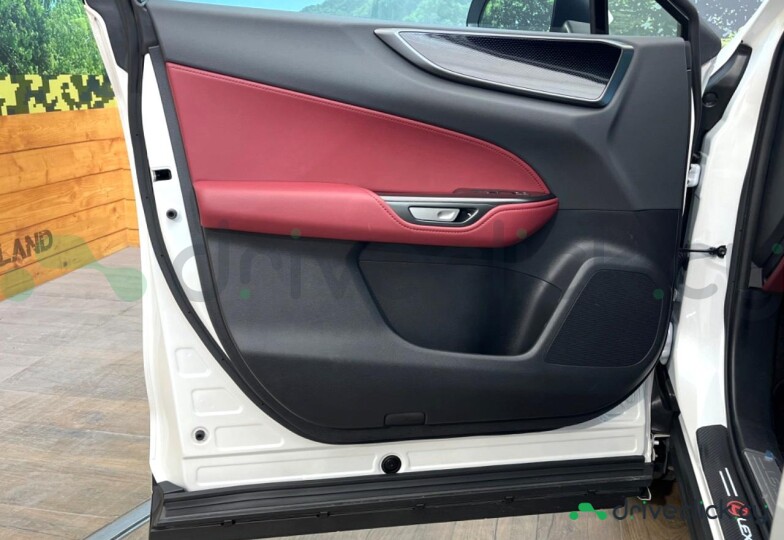 Lexus NX White