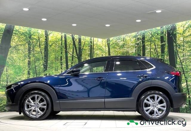 Mazda CX-30 Blue