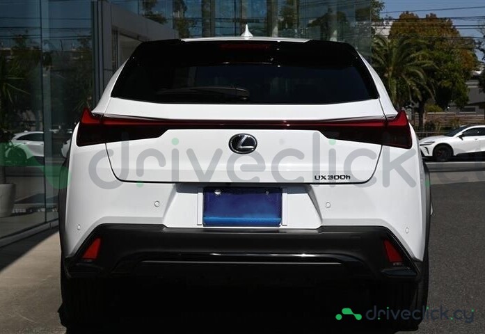 Lexus UX White