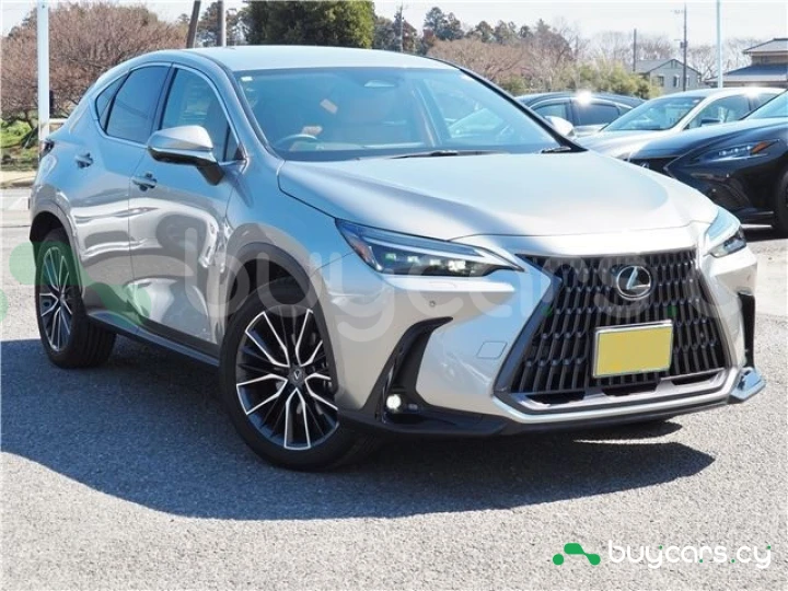 Lexus NX Серый
