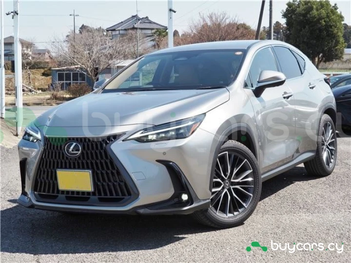Lexus NX Серый