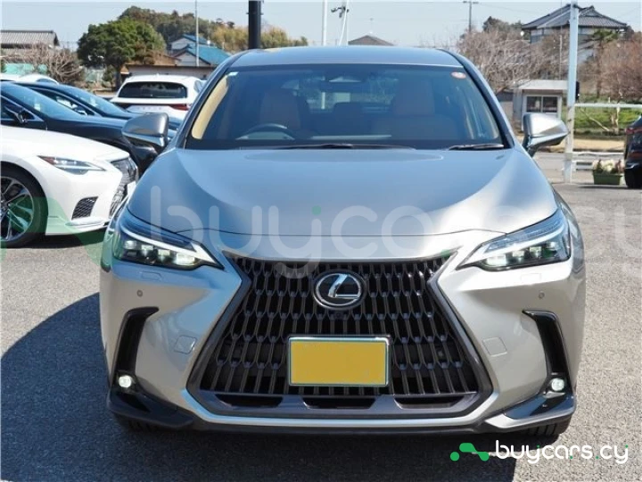 Lexus NX Серый