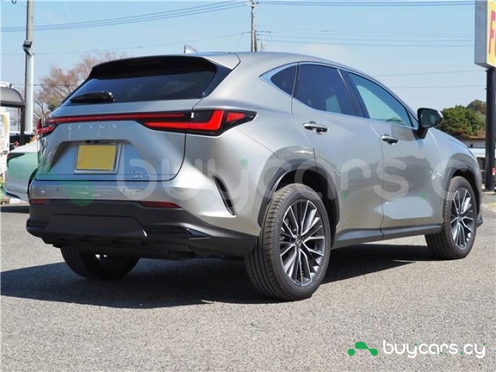 Lexus NX Серый