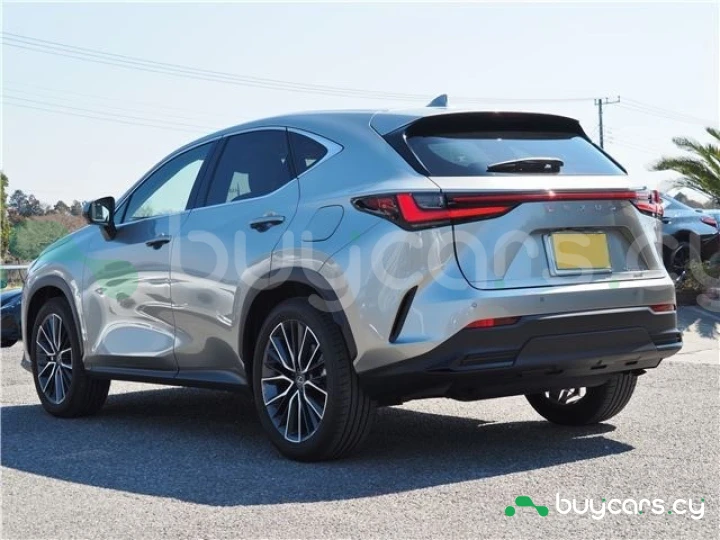 Lexus NX Серый