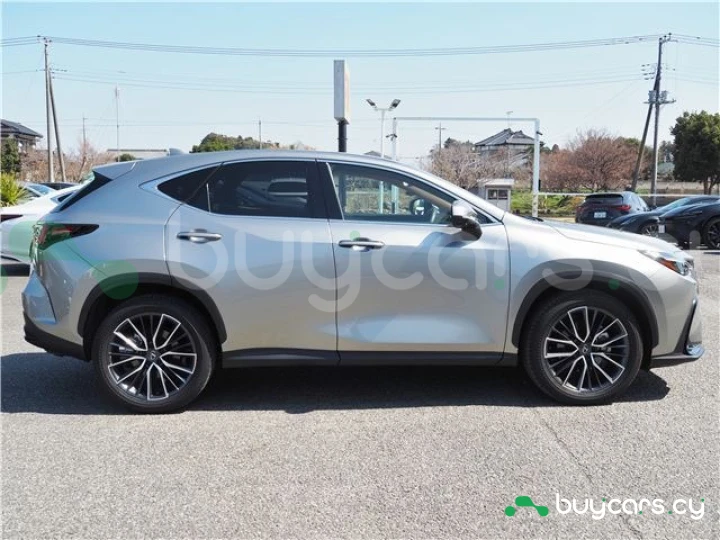 Lexus NX Серый