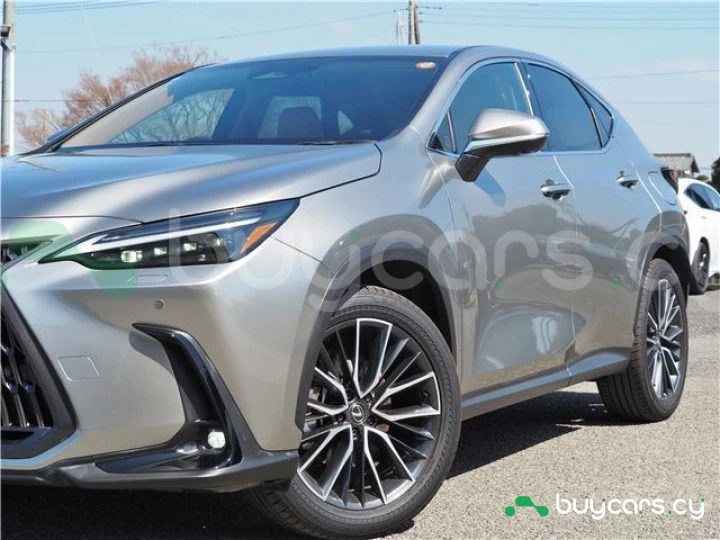 Lexus NX Серый