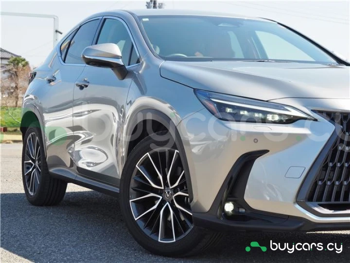Lexus NX Серый