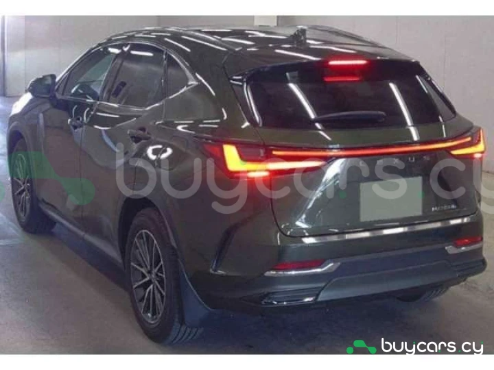 Lexus NX Зеленый