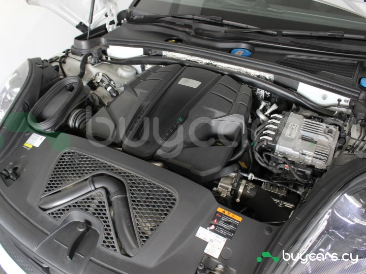 Porsche Macan Белый