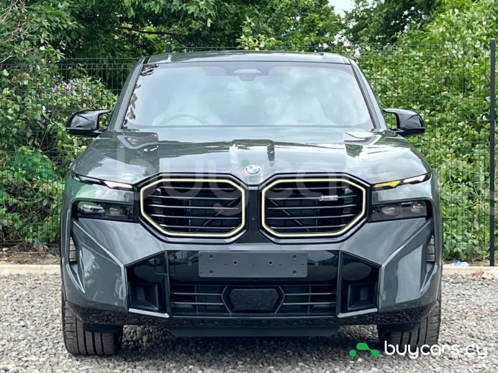 BMW XM Серый