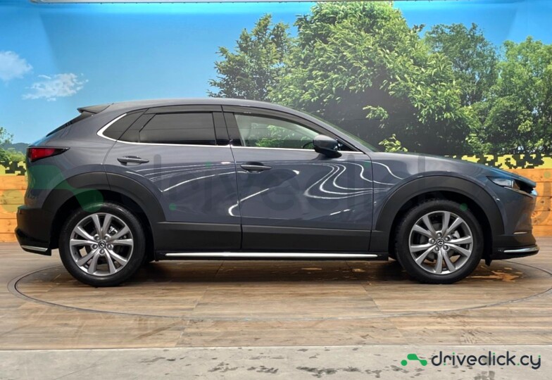 Mazda CX-30 Grey