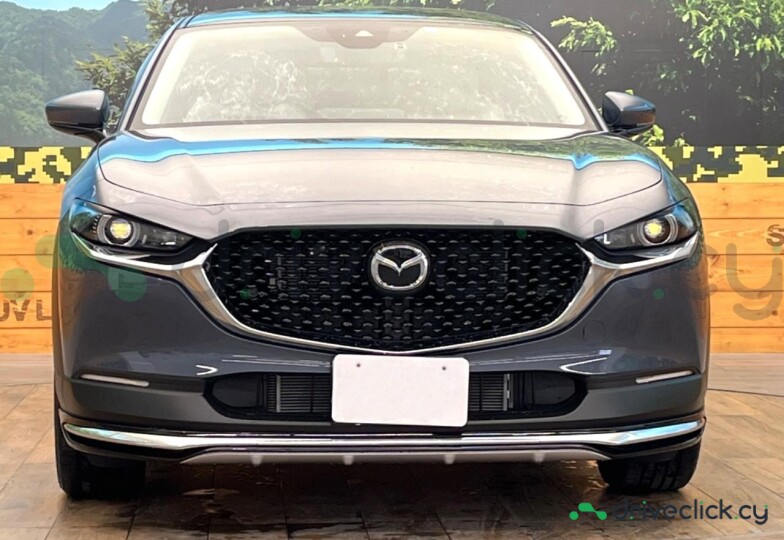 Mazda CX-30 Grey