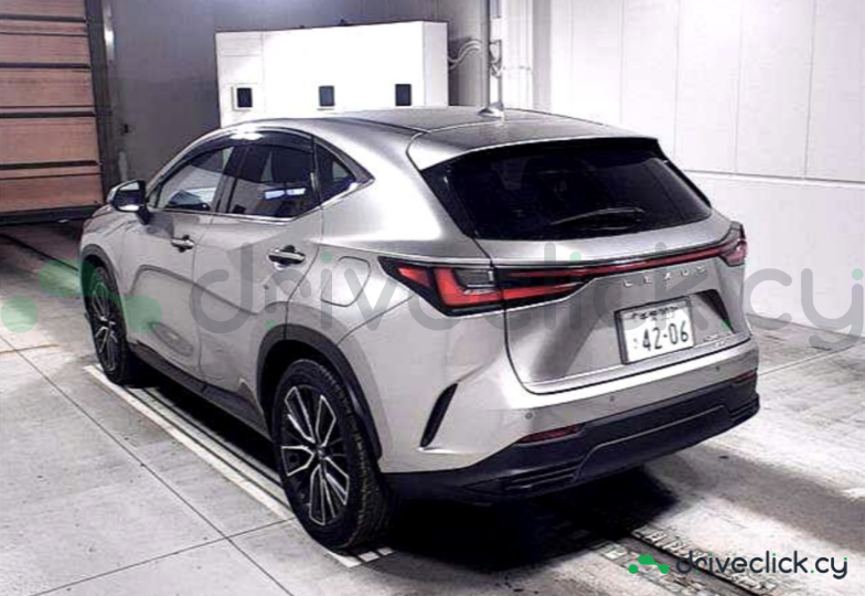 Lexus NX Grey