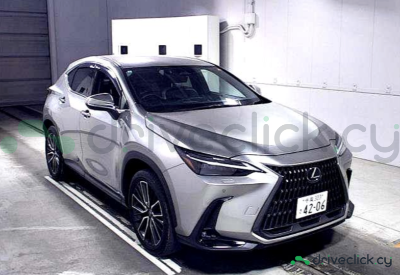 Lexus NX Grey