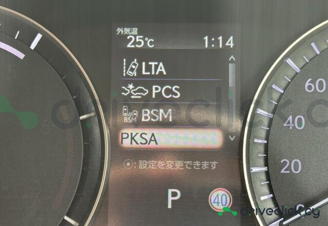 Lexus RX Black