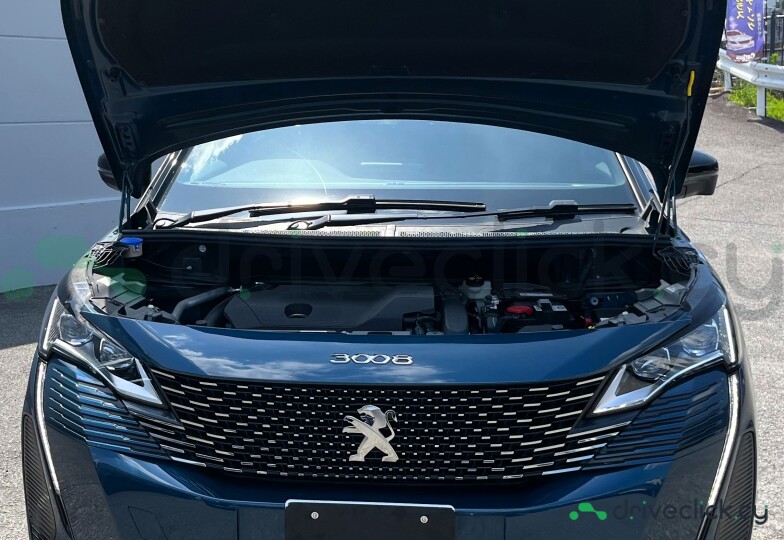 Peugeot 3008 Blue