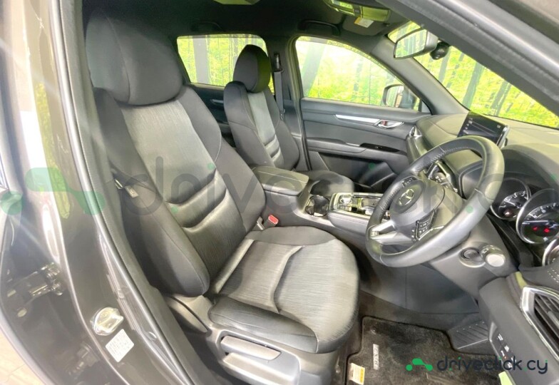 Mazda CX-8 Grey