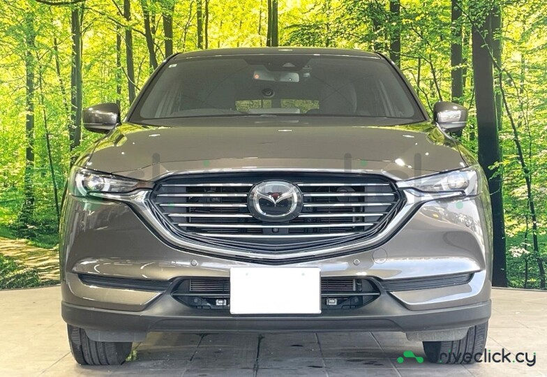 Mazda CX-8 Grey