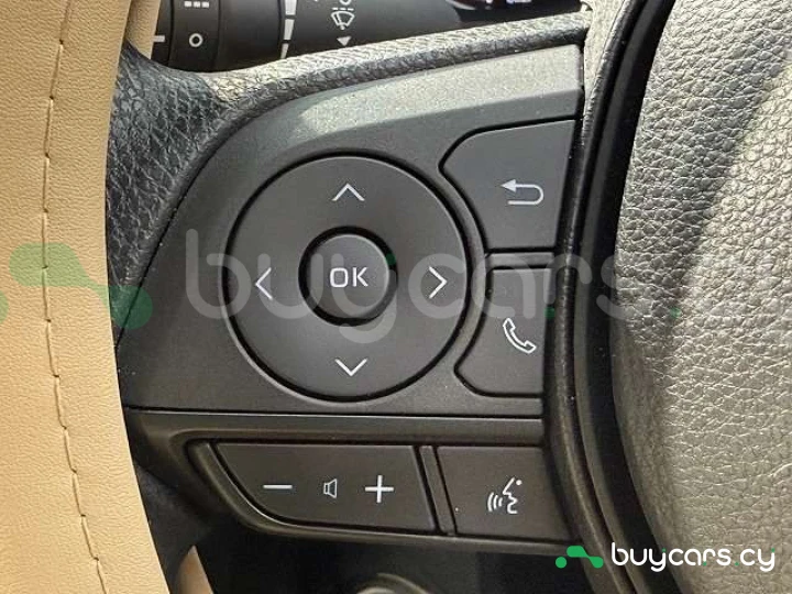 Mitsuoka Buddy Синий