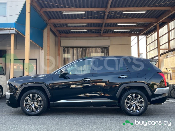 Mitsuoka Buddy Черный