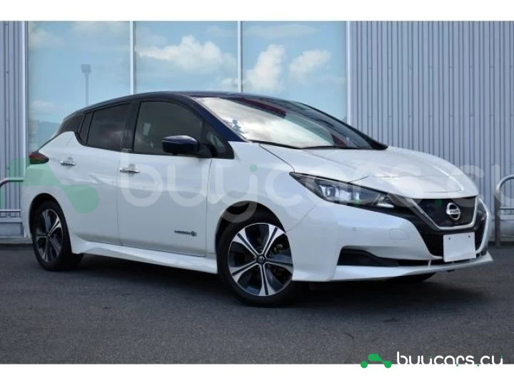Nissan Leaf White