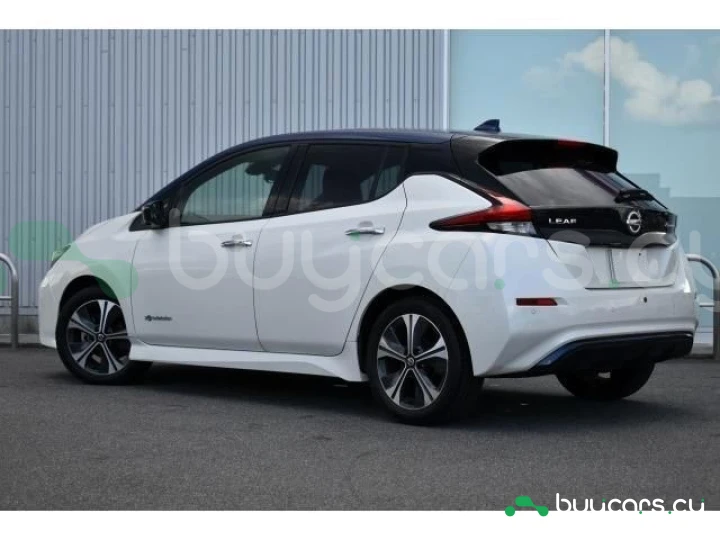 Nissan Leaf White