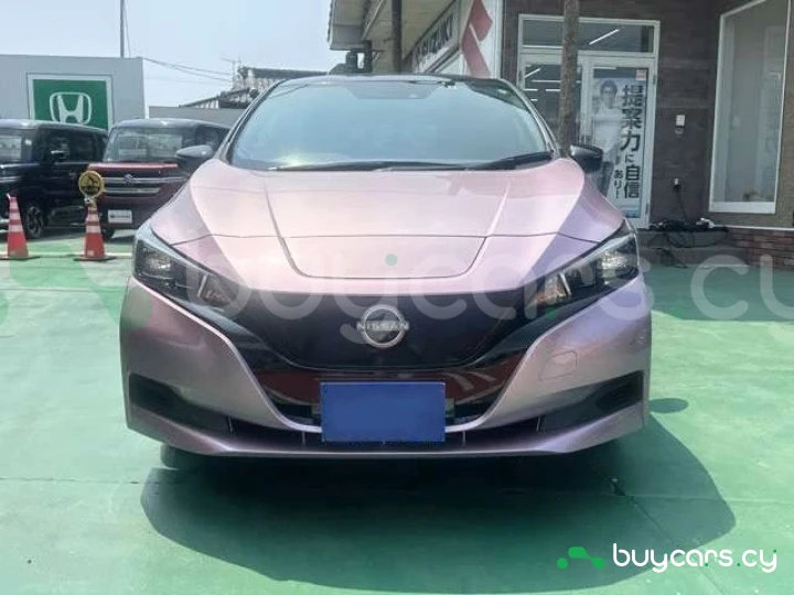 Nissan Leaf Pink