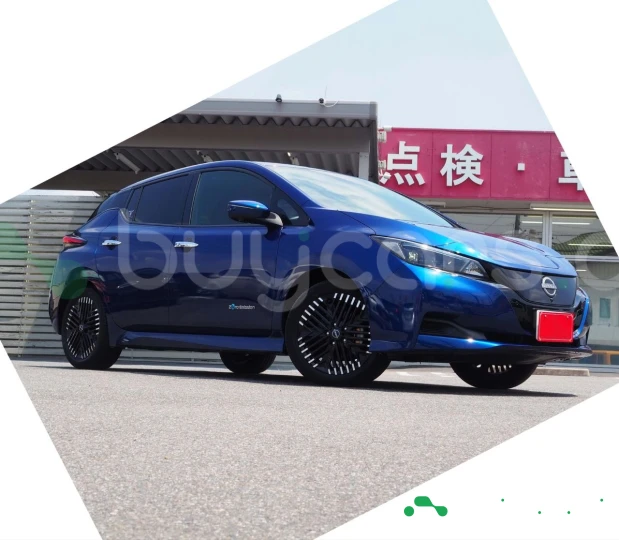 Nissan Leaf Blue