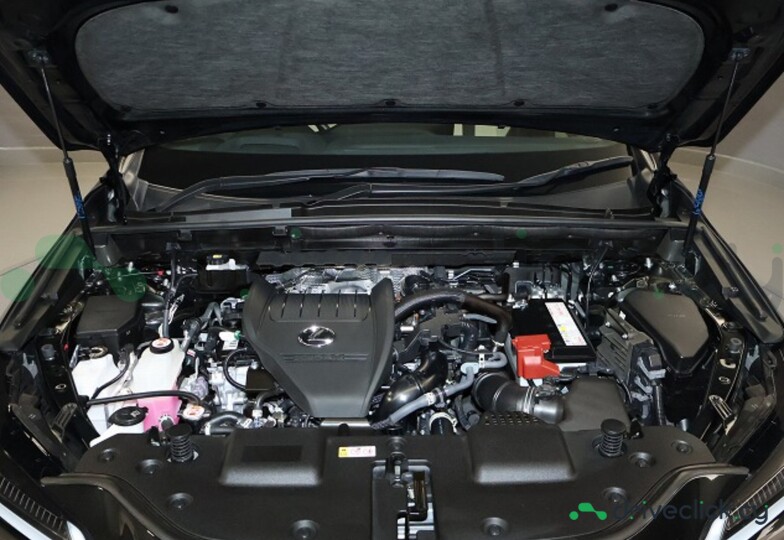 Lexus NX Black