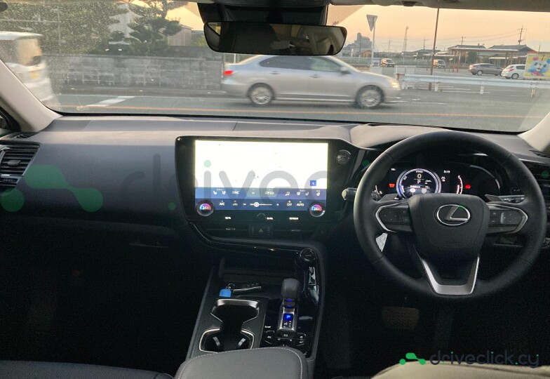 Lexus NX Black