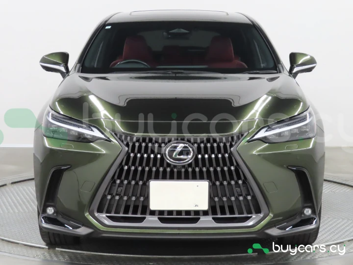 Lexus NX Green