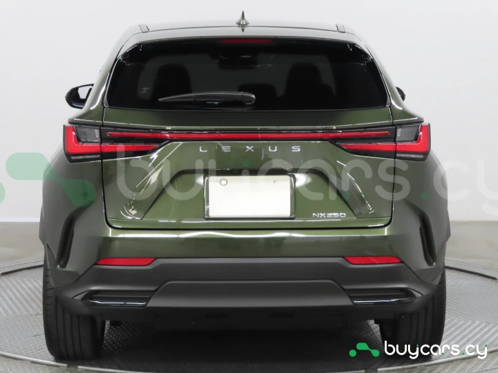 Lexus NX Green