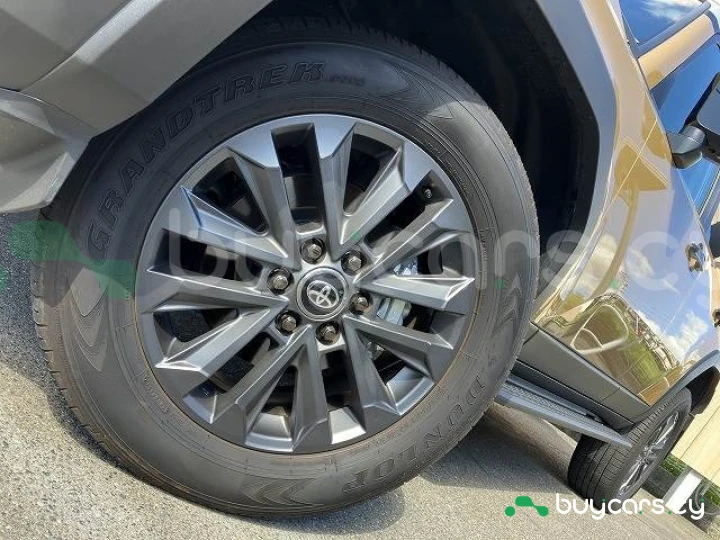 Toyota Land Cruiser Коричневый