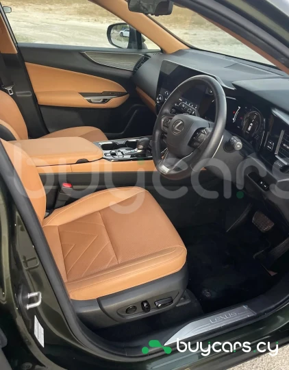 Lexus NX Зеленый