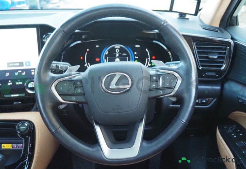 Lexus NX Blue