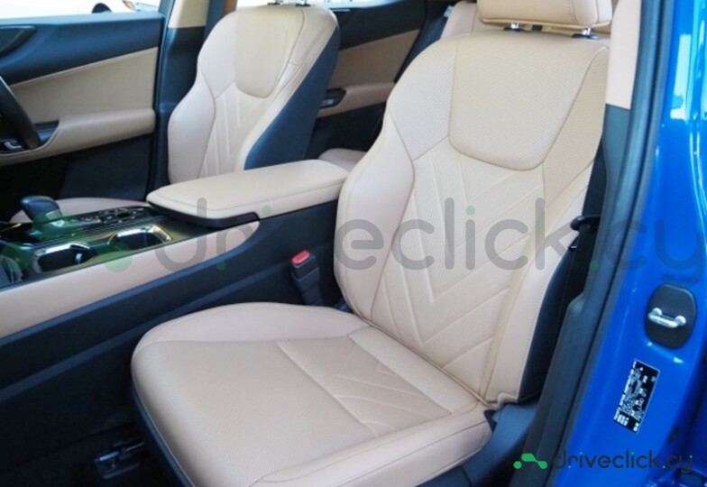 Lexus NX Blue
