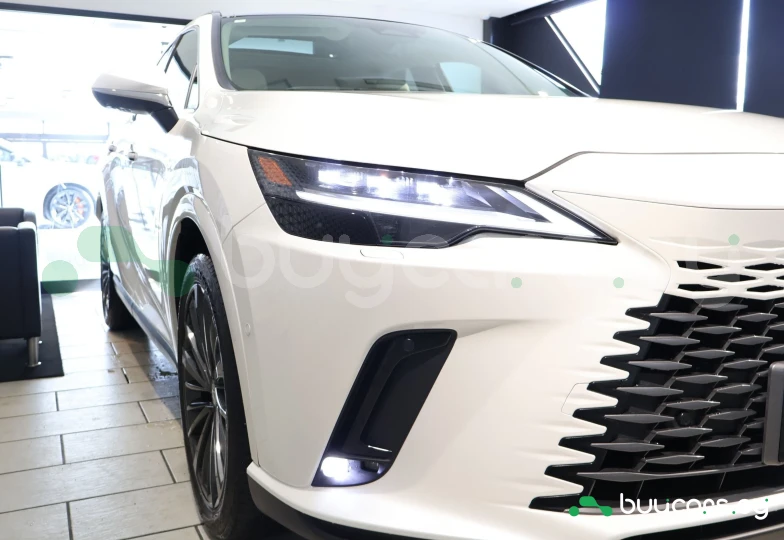 Lexus RX White