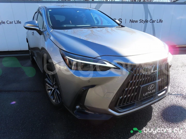 Lexus NX Серый