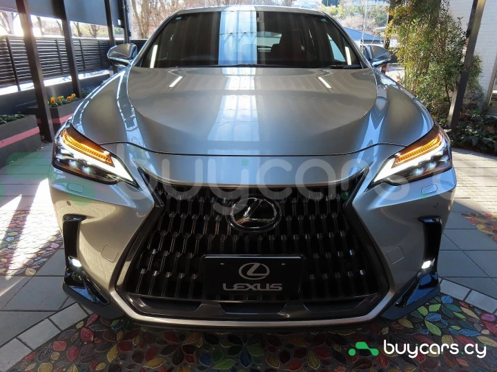 Lexus NX Серый